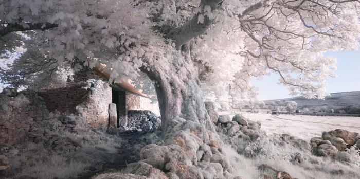 Infra-red Filter